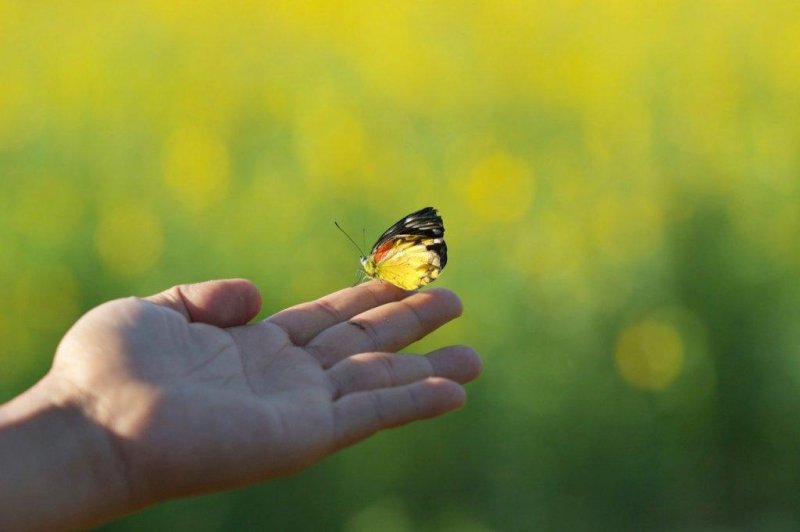 Lerne, Lebenszyklen richtig abzuschließen