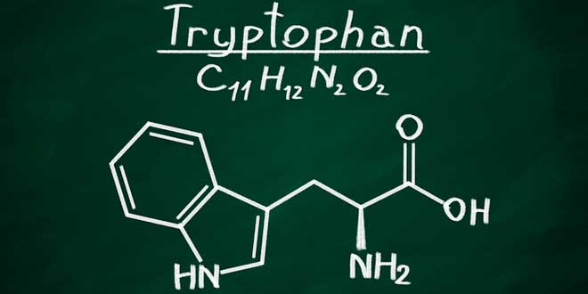 Strukturformel von Tryptophan