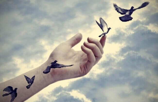Vögel fliegen aus einer Hand in den Himmel