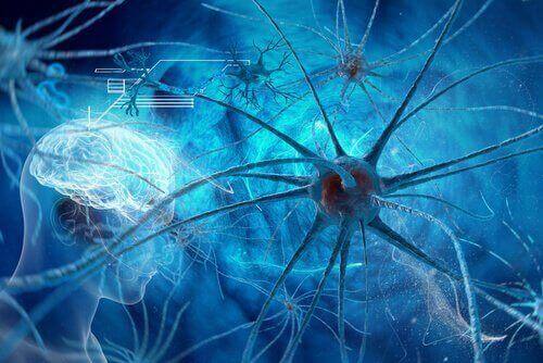 Nueronen und Gliazellen vor einem menschlichen Gehirn