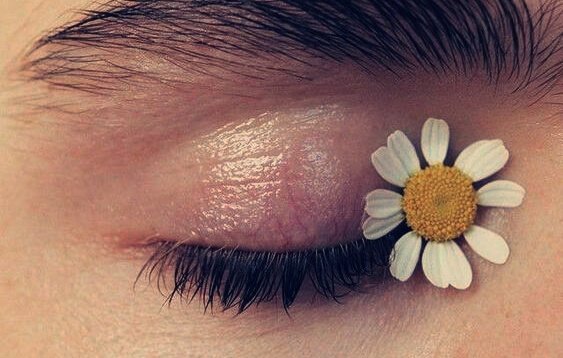 Auge mit einer Blume