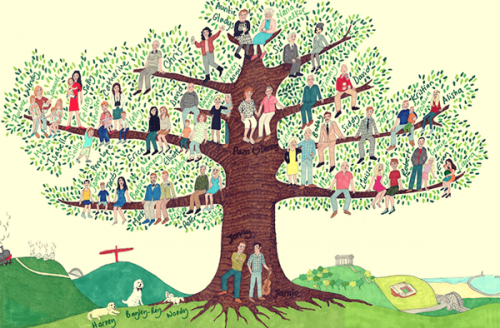 Was kannst du von deinem Familienstammbaum lernen?