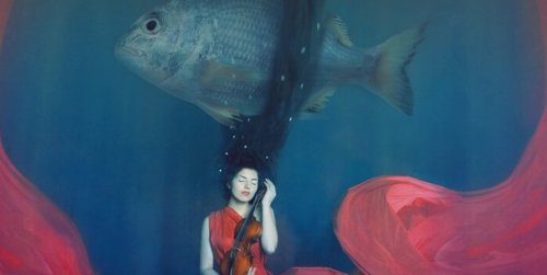 Frau mit Violine, über der ein Fisch schwimmt