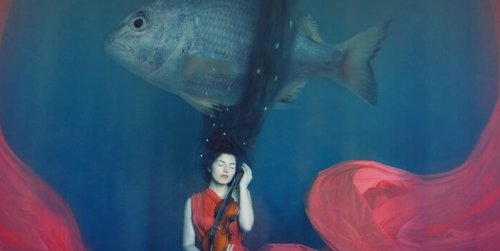 Frau mit Violine, über der ein Fisch schwimmt
