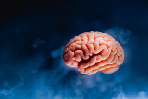 Gehirntsunami - Was passiert in unserem Gehirn, wenn wir sterben?