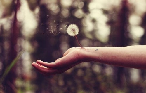 Verrat und wie man seine Wunden heilt