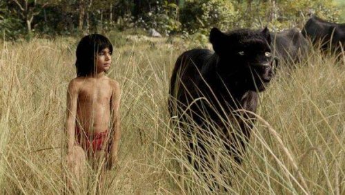 "Wilde Kinder" und ihr Verhalten in der Gesellschaft