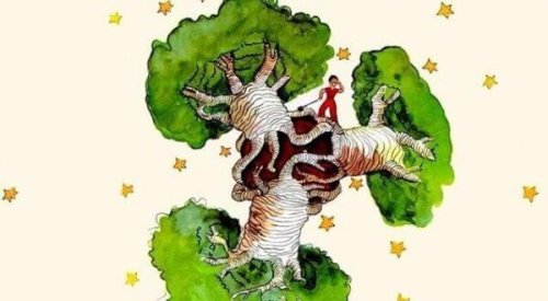 Ein Affenbrotbaum im Herzen - Reflexionen über "Der kleine Prinz"