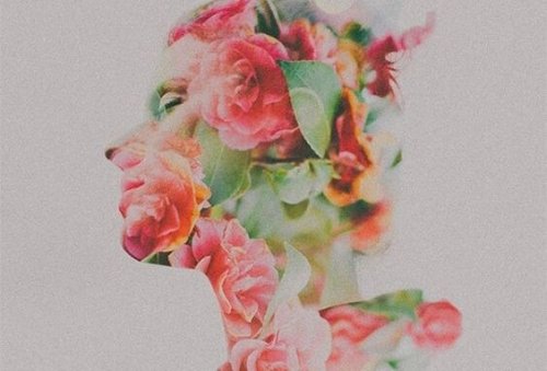 Ein Profil eines Menschens, das aus Rosen besteht