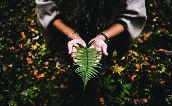 Den Sinn des Lebens finden wir durch innere Gelassenheit