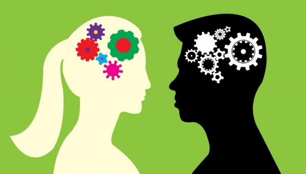 Gibt es Unterschiede zwischen dem männlichen und weiblichen Gehirn?