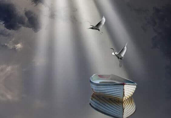 Kraniche fliegen aus einem Boot