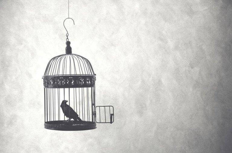 Vogel sitzt in einem Käfig
