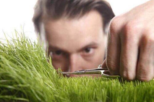 Ein Mann schneidet mit einer Nagelschere Gras