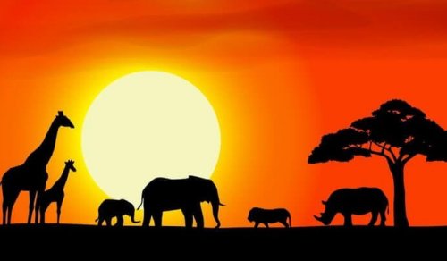 Afrikanische Tiere