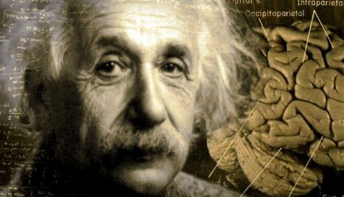 Die unglaubliche Geschichte von Albert Einsteins Gehirn