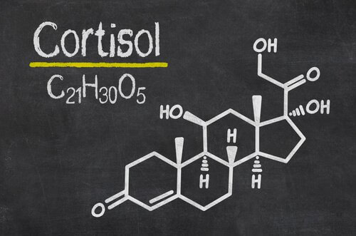 Strukturformel von Kortisol