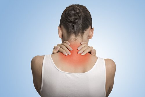 Fibromyalgie und Probiotika - Wie hängen sie zusammen?