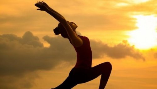 Seitai: Die Kultur der Harmonie und der Gesundheit