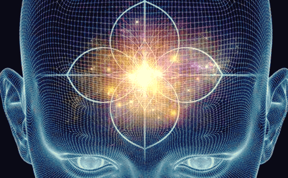 Funktionen und Aufgaben der Hypophyse und Zirbeldrüse