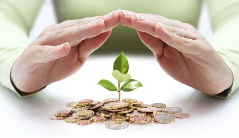 Hände über ein paar Münzen und einer Pflanze