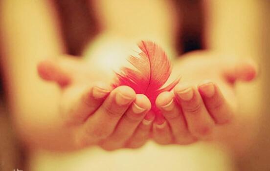 Die Freundlichkeit - eine Kraft, die jede Mauer einzureißen vermag