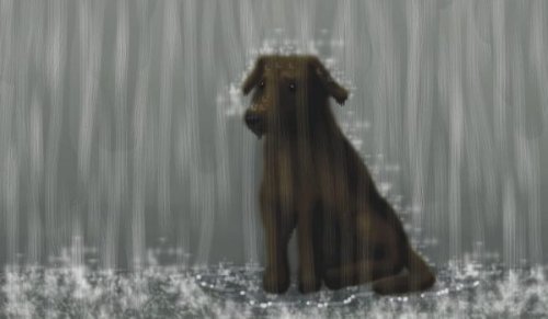 Hund im Regen