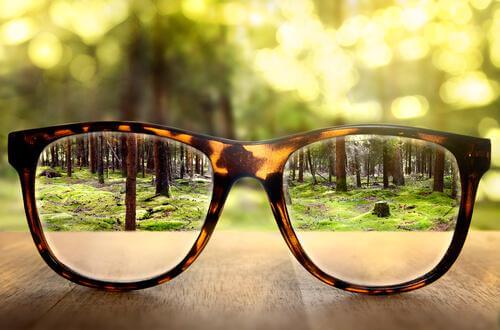 Durch eine Brille einen klaren Blick auf den Wald bekommen