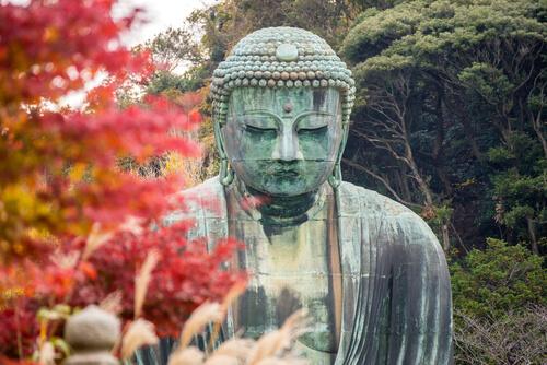Buddha umgeben von Bäumen