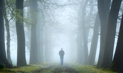 Der Waldtest und sein Platz in der Psychoanalyse