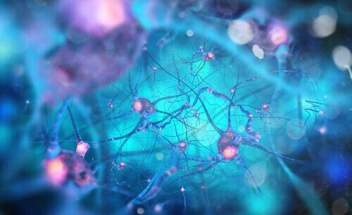 Miteinander verbundene Neuronen
