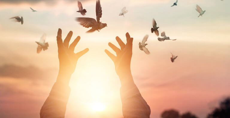 Offene Hände, aus denen Vögel fliegen