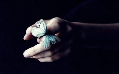 Schmetterling auf einer Hand