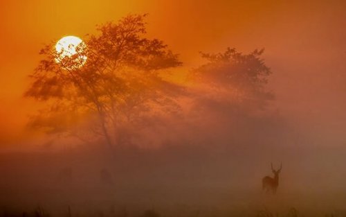 Sonnenuntergang in afrikanischer Landschaft