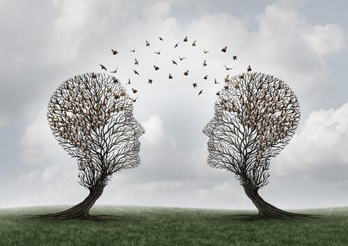 Was ist soziale Kognition?