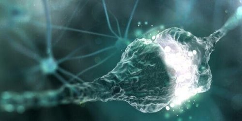 Was ist der synaptische Spalt?