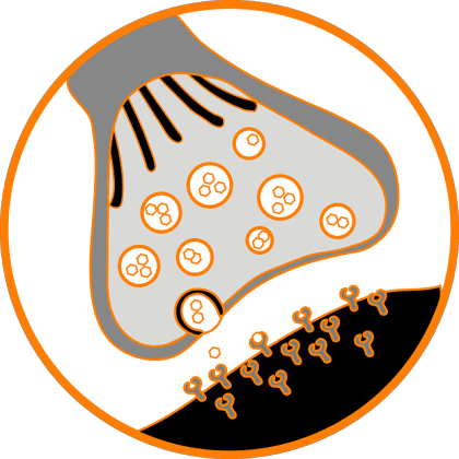 Illustration einer Synapse