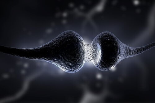 Eine Synapse als Verbindung im Gehirn
