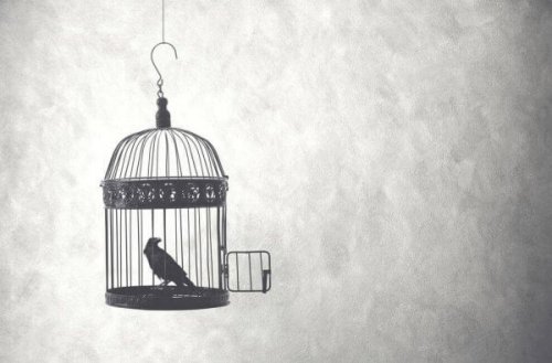 Ein Vogel im Käfig