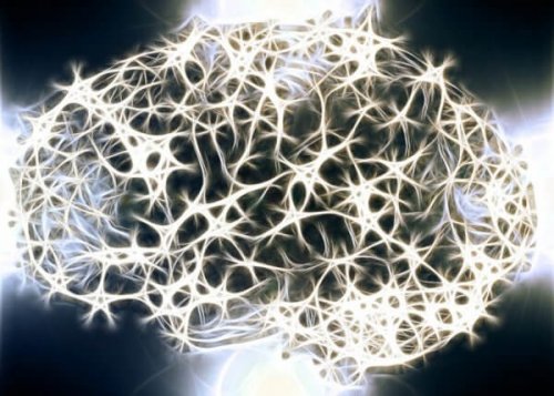 Weißt du, warum die weiße Substanz in unserem Nervensystem so wichtig ist?