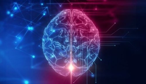 Der orbitofrontale Kortex: Die Grundlage unseres Sozialverhaltens