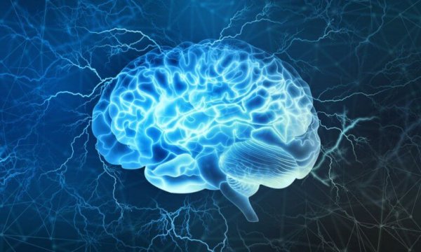 Der präfrontale Kortex: Einer der interessantesten Bereiche des Gehirns
