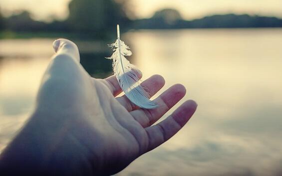 Hand mit einer weißen Feder