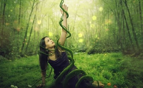 Wenn "Ich sollte..." unser Leben bestimmt