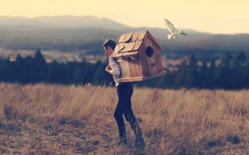 Junge trägt Vogelhaus auf dem Rücken