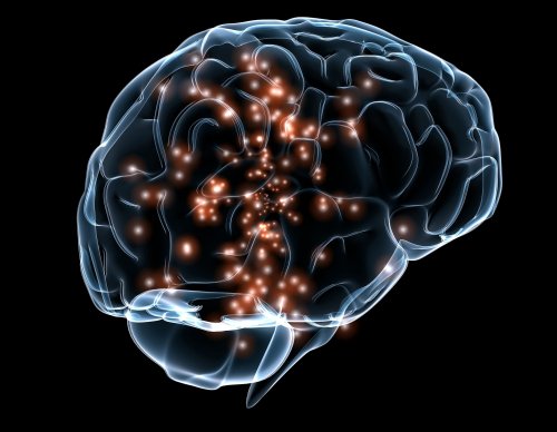 Neuronale Aktivitäten und Engramme im Gehirn