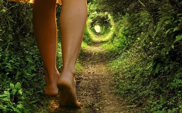 Weg im Wald