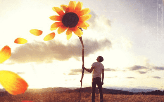 Mann hält eine große Sonnenblume in seiner Hand
