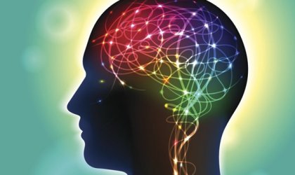 Durch deine Gedanken, kannst du dein eigenes Gehirn formen. Man bezeichnet dies als Neuroplastizität.