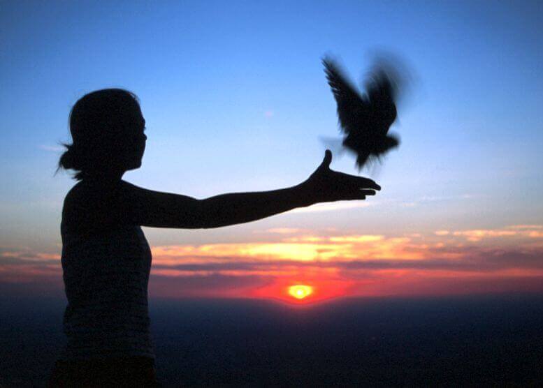Frau lässt Vogel fliegen